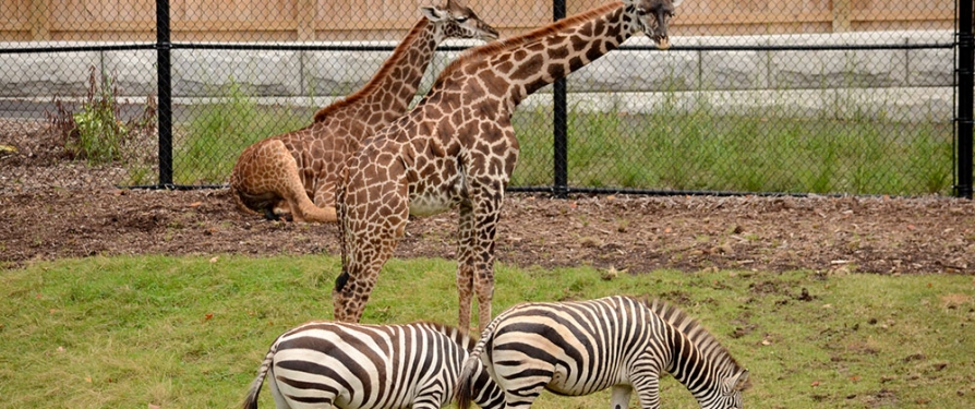 Điểm đến hấp dẫn tại thành phố Rochester