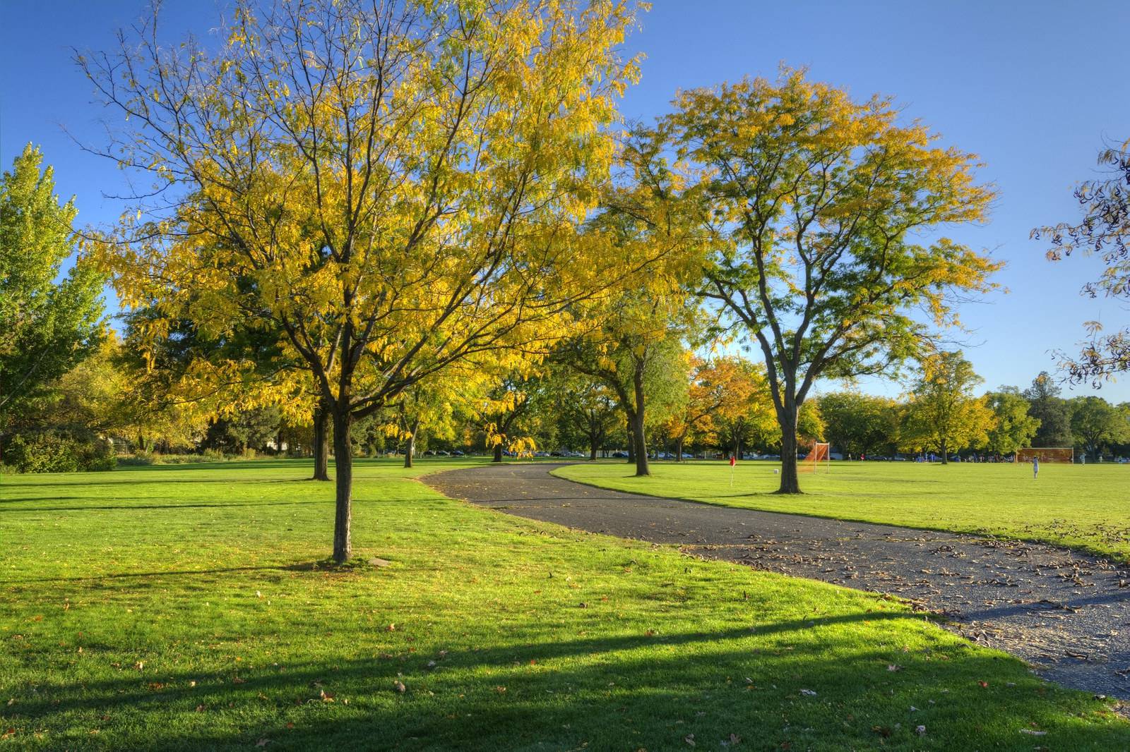 vé máy bay đi Boise EVA Air 2