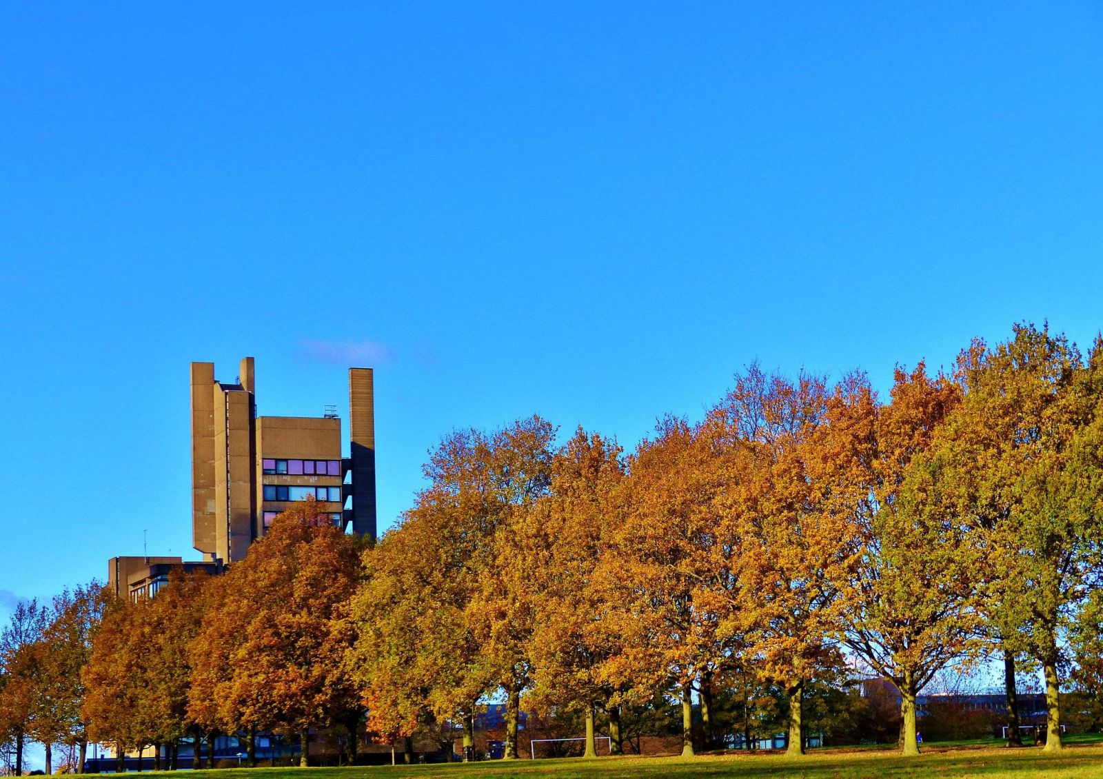 vé máy bay đi Leicester giá rẻ