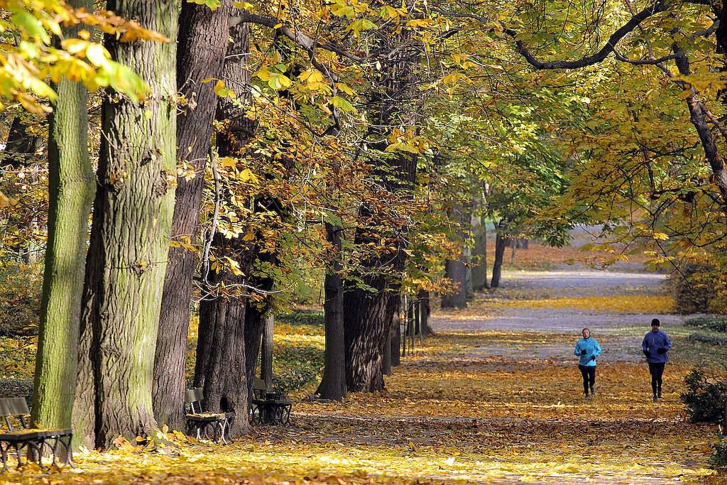 vé máy bay đi Warszawa giá rẻ