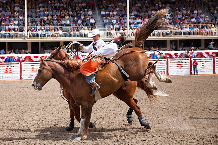 Vé máy bay EVA Air đi Calgary giá rẻ