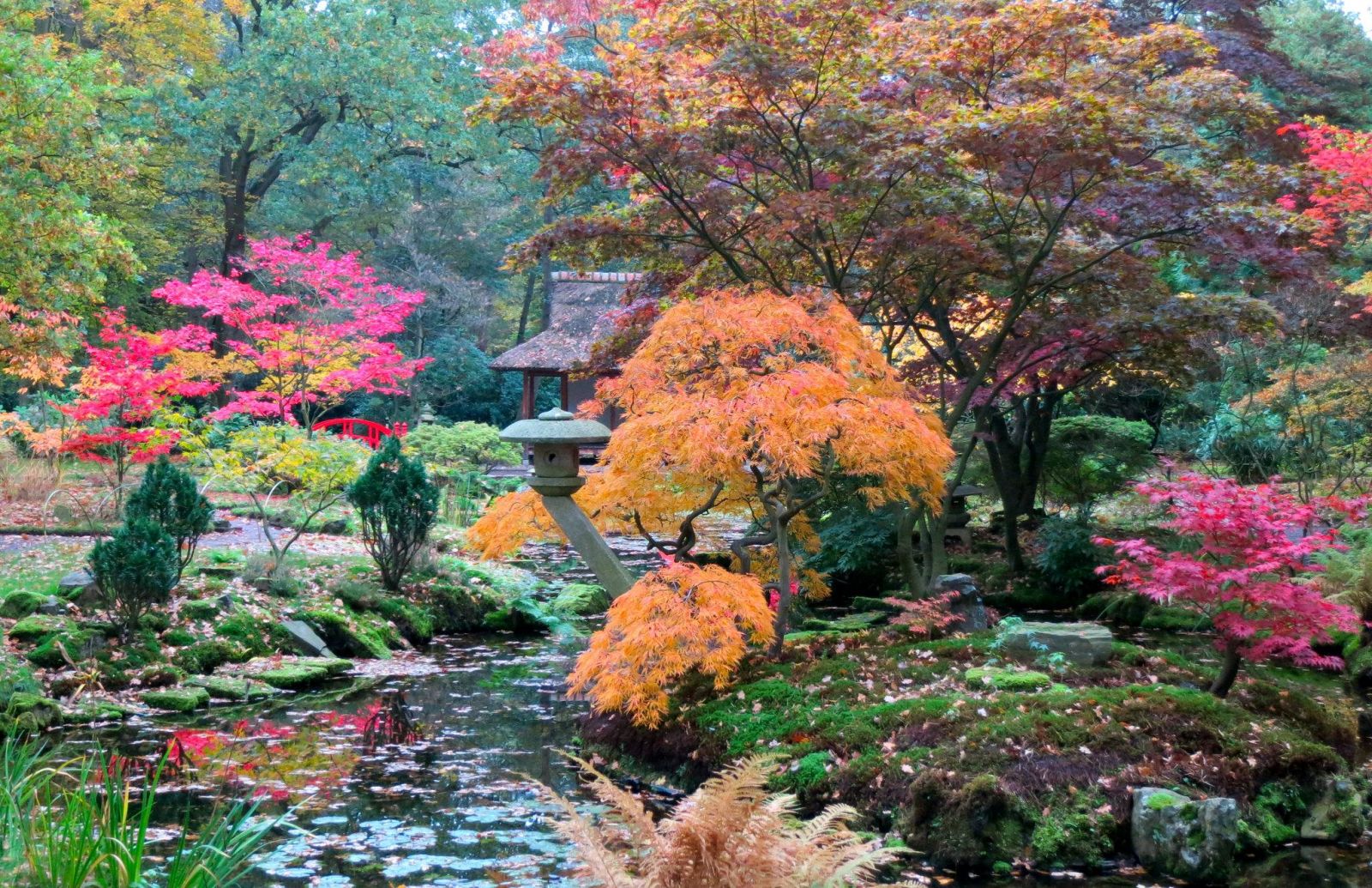 vé máy bay đi Den Haag giá rẻ