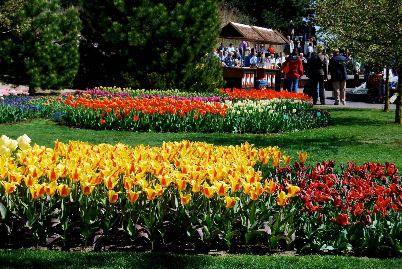 vé máy bay đi Hà Lan giá rẻ