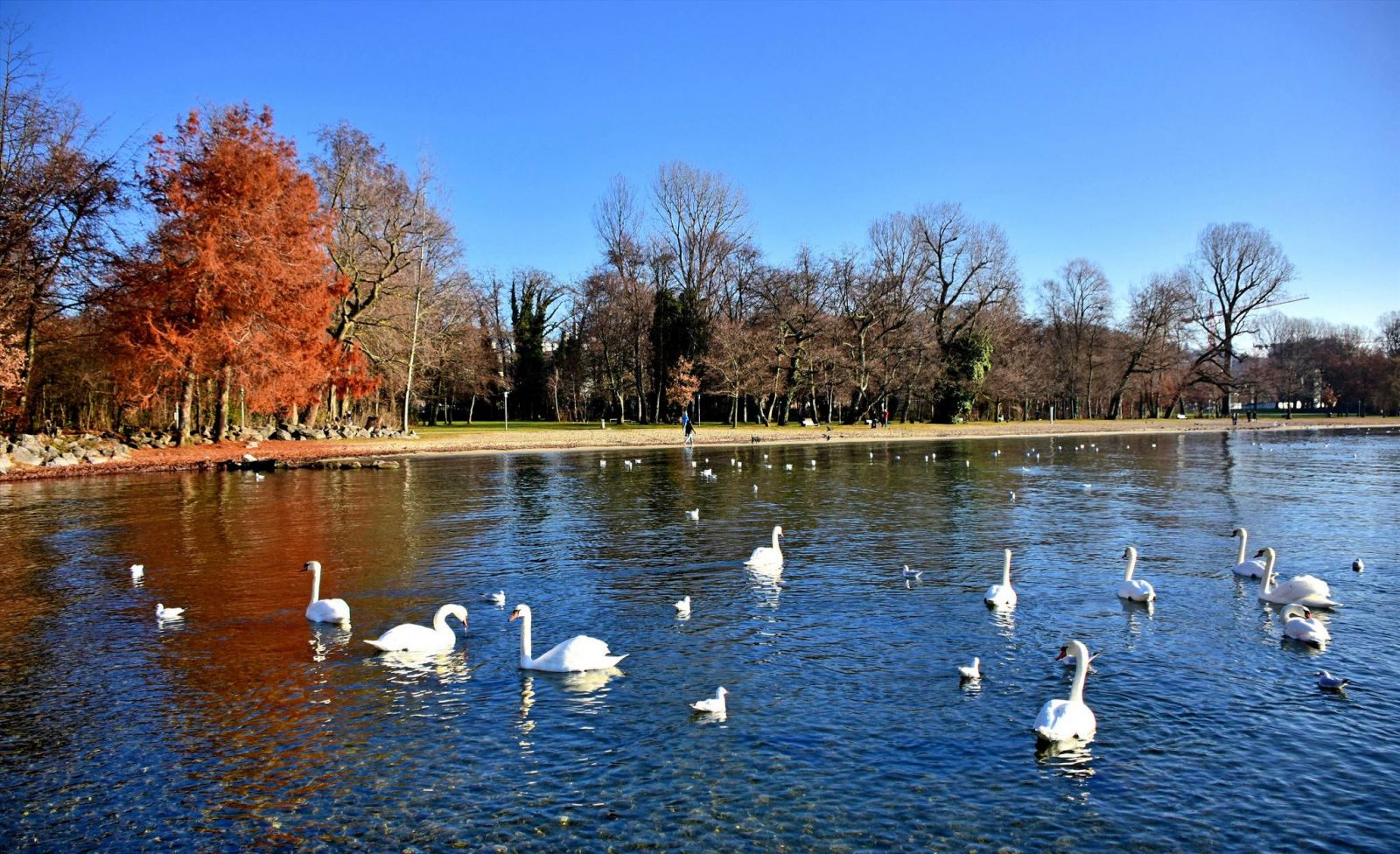 Vé máy bay giá rẻ đi Lausanne hãng EVA Air