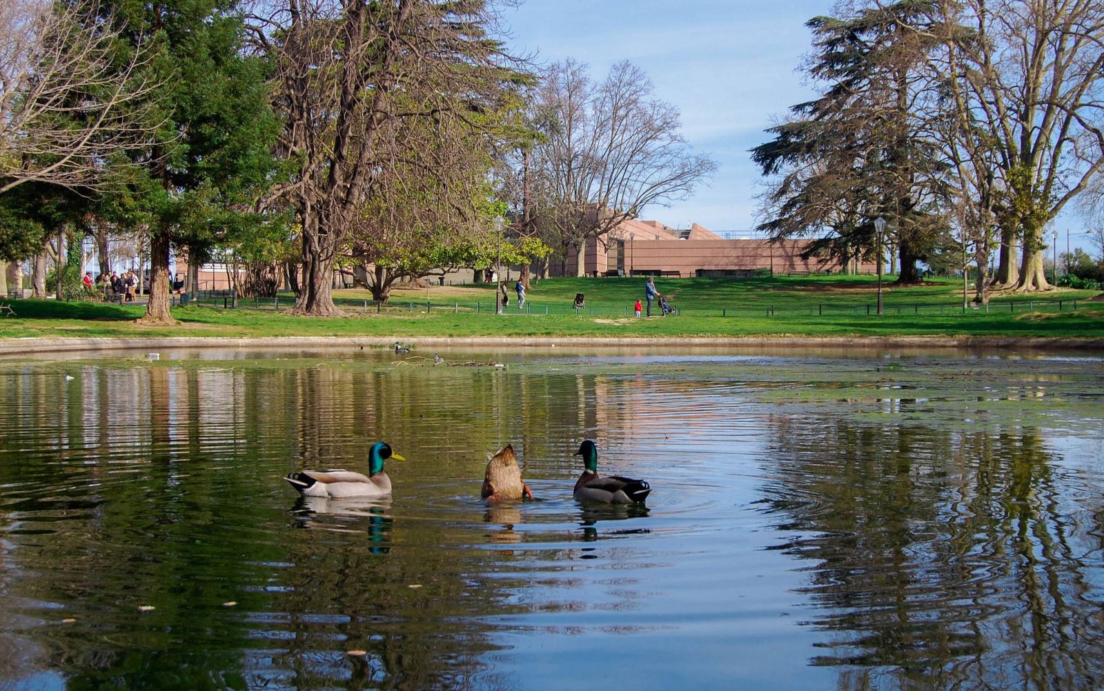 Vé máy bay EVA Air giá rẻ đi Montpellier – Pháp