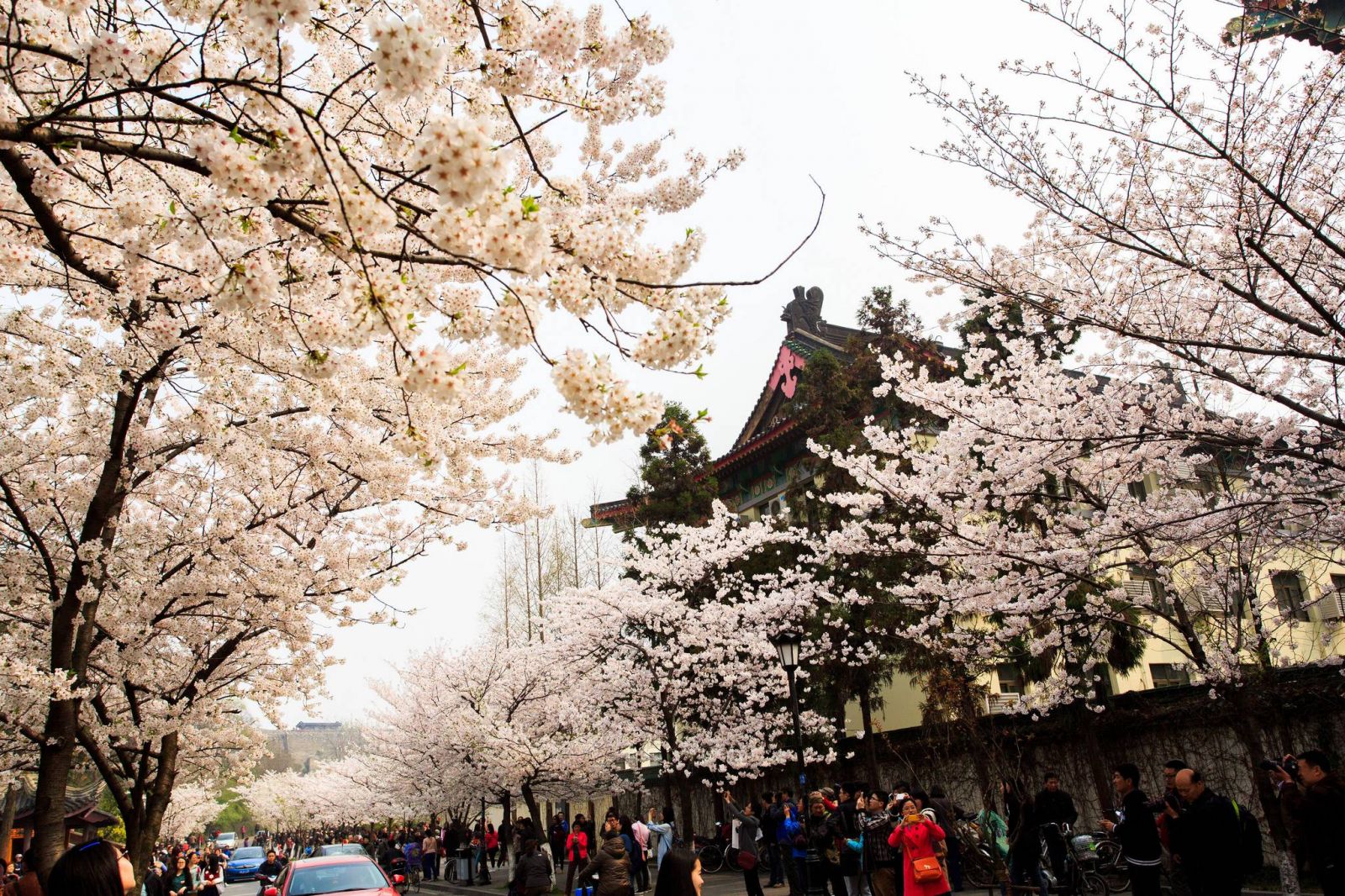 Vé máy bay giá rẻ đi Nam Kinh hãng EVA Air