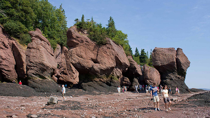 Hopewell Rocks