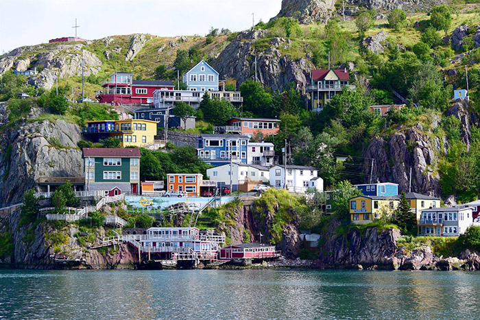 Quidi Vidi