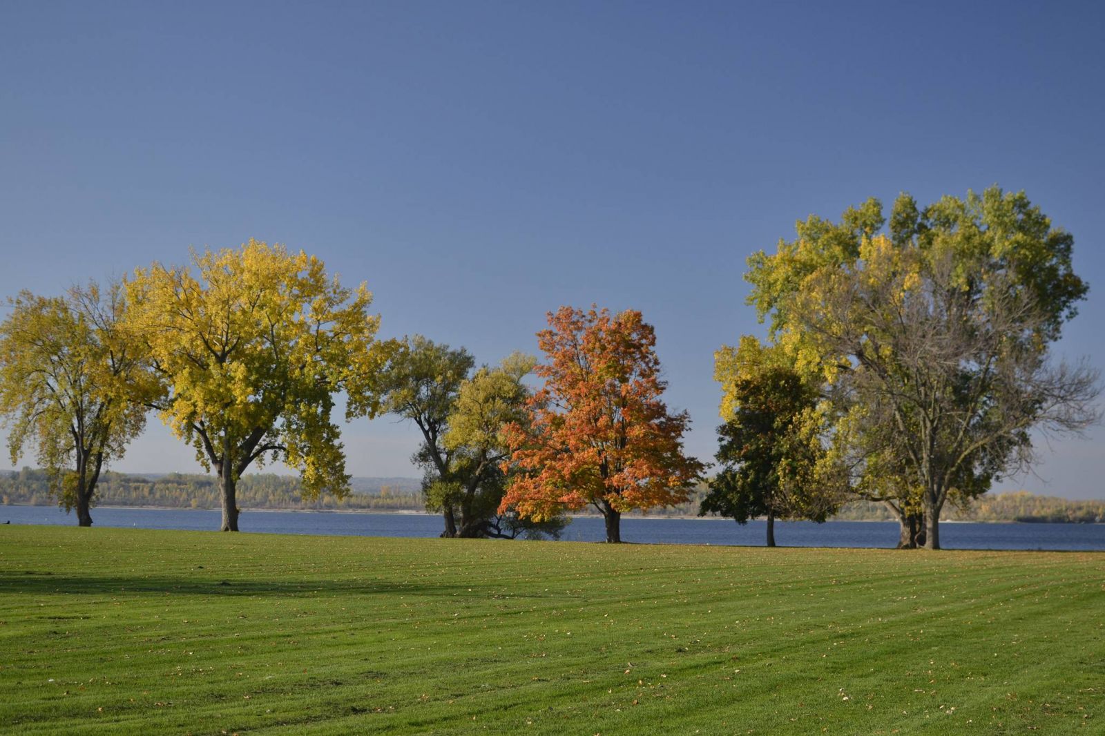 ve-may-bay-di-Syracuse