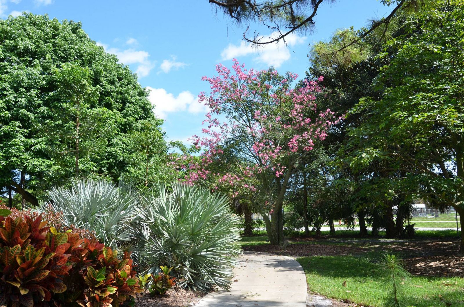 ve-may-bay-di-west-palm-beach-eva-air