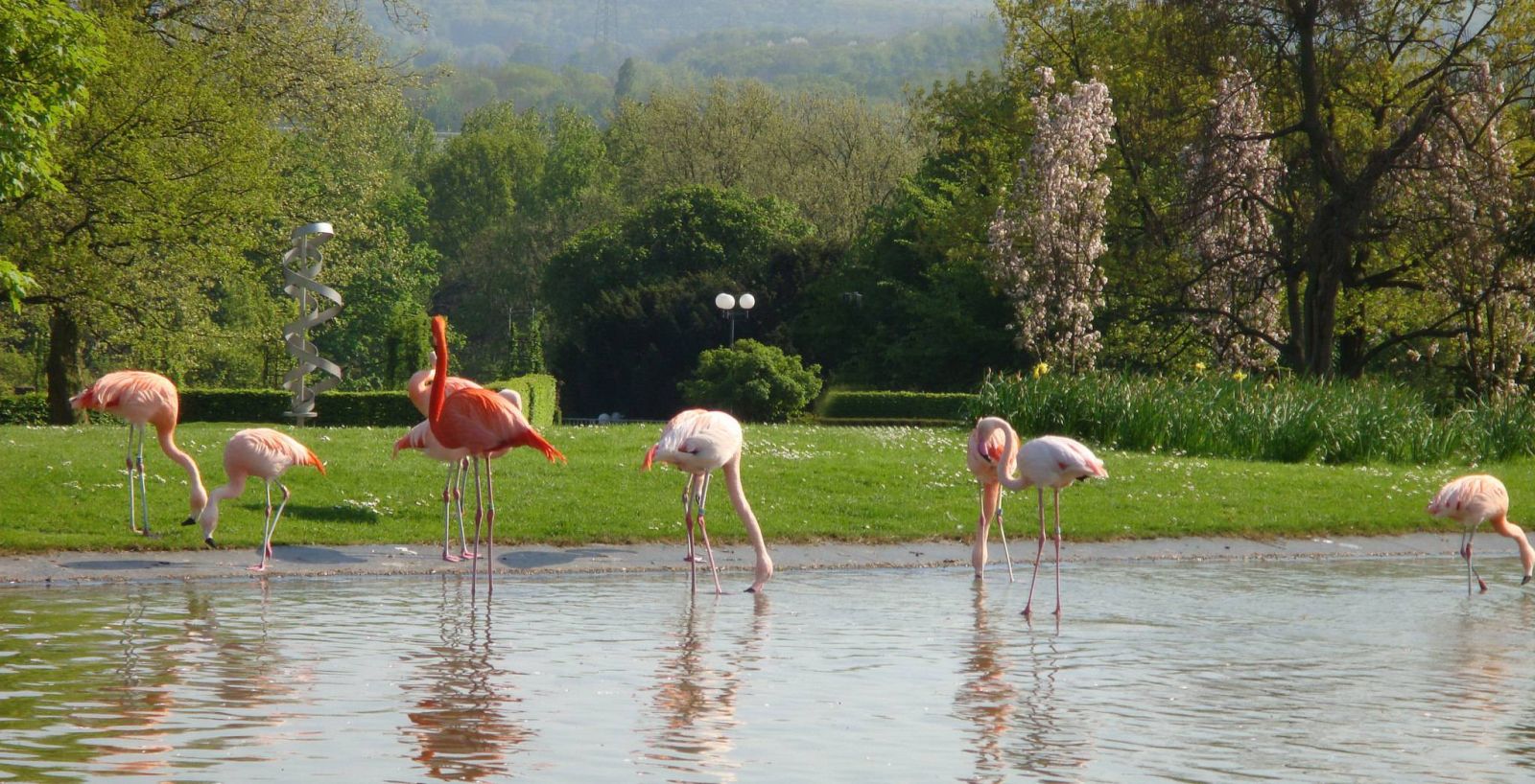 Vé máy bay EVA Air giá rẻ đi Dortmund - Đức