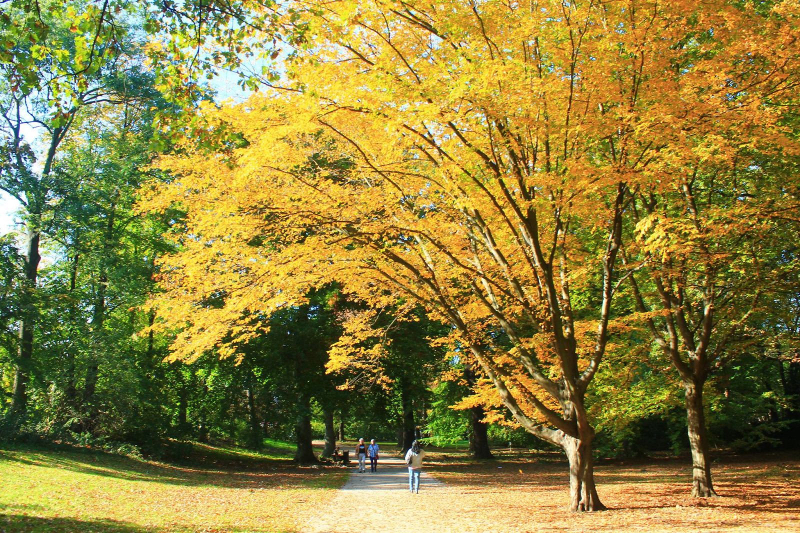 vé máy bay đi Berlin giá rẻ