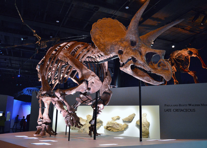 gia-ve-may-bay-di-my-la-bao-nhieu