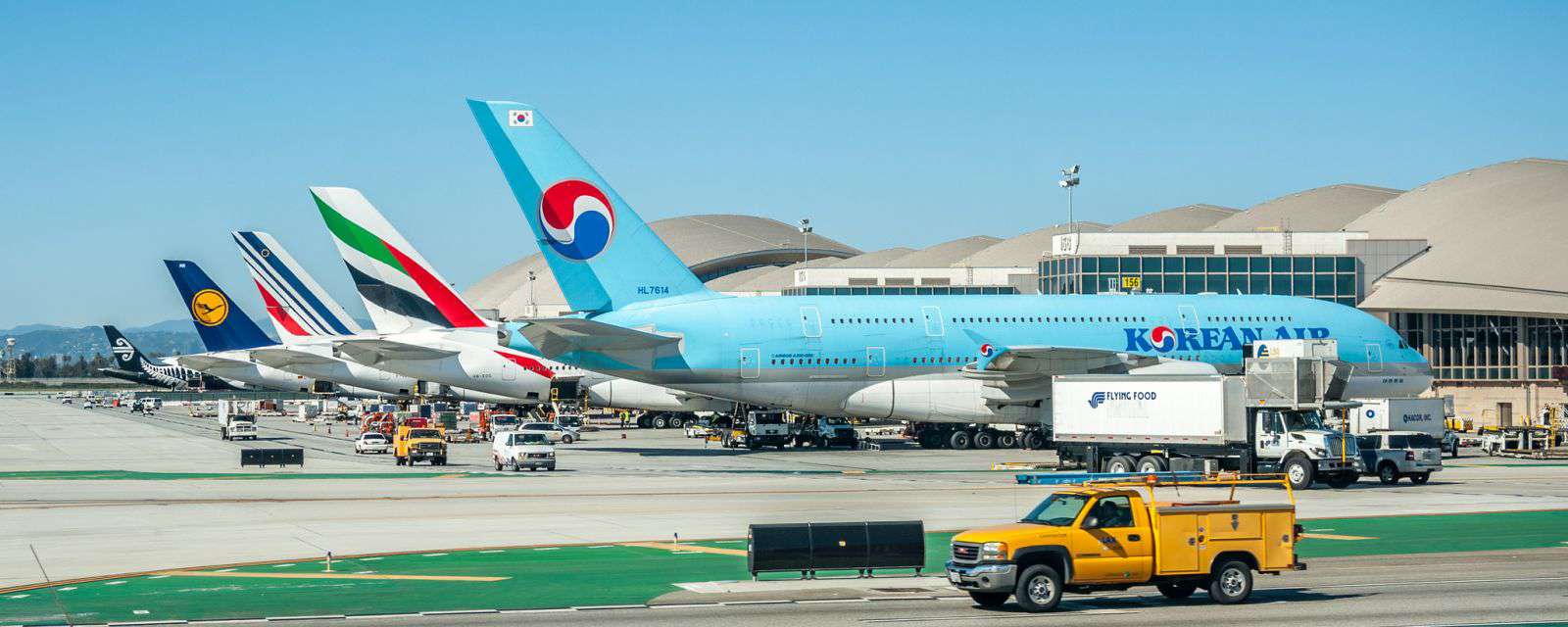 Hãng hàng không đi Los Angles tại TP.HCM