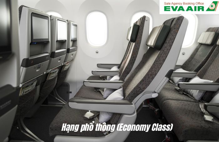 Hạng ghế phổ thông Eva Air
