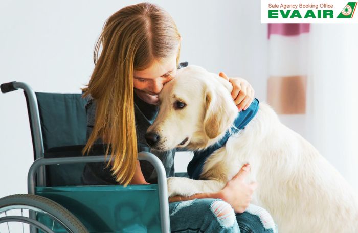 Chính sách động vật hỗ trợ trên máy bay Eva