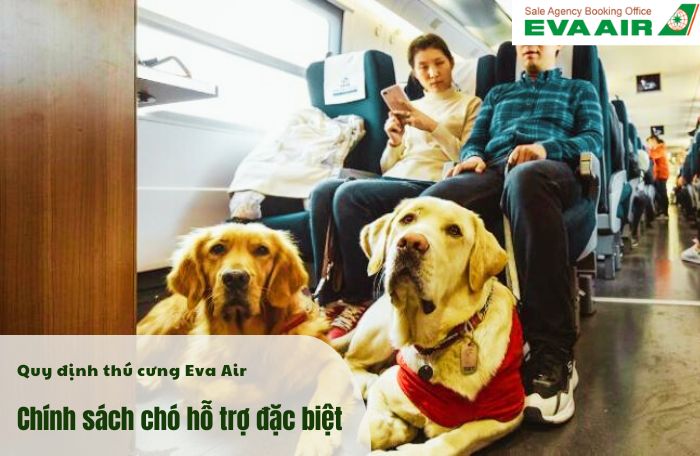 Chính sách động vật hỗ trợ Eva Air