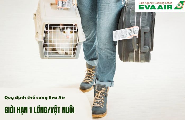 Chính sách vận chuyển thú cưng Eva Air