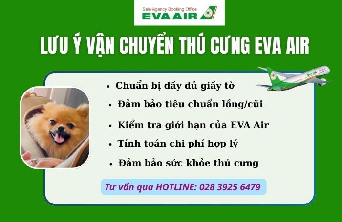 Lưu ý vận chuyển thú cưng Eva Air bạn nên biết