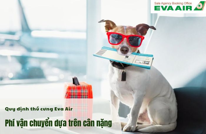 Phí vận chuyển thú cưng Eva Air từ 50 USD
