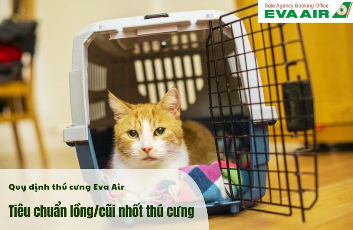 Quy định lồng nhốt thú cưng Eva Air