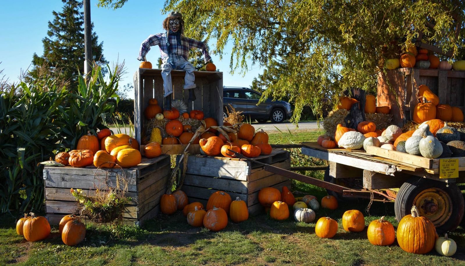 Chuyến bay từ Hà Nội đến Canada