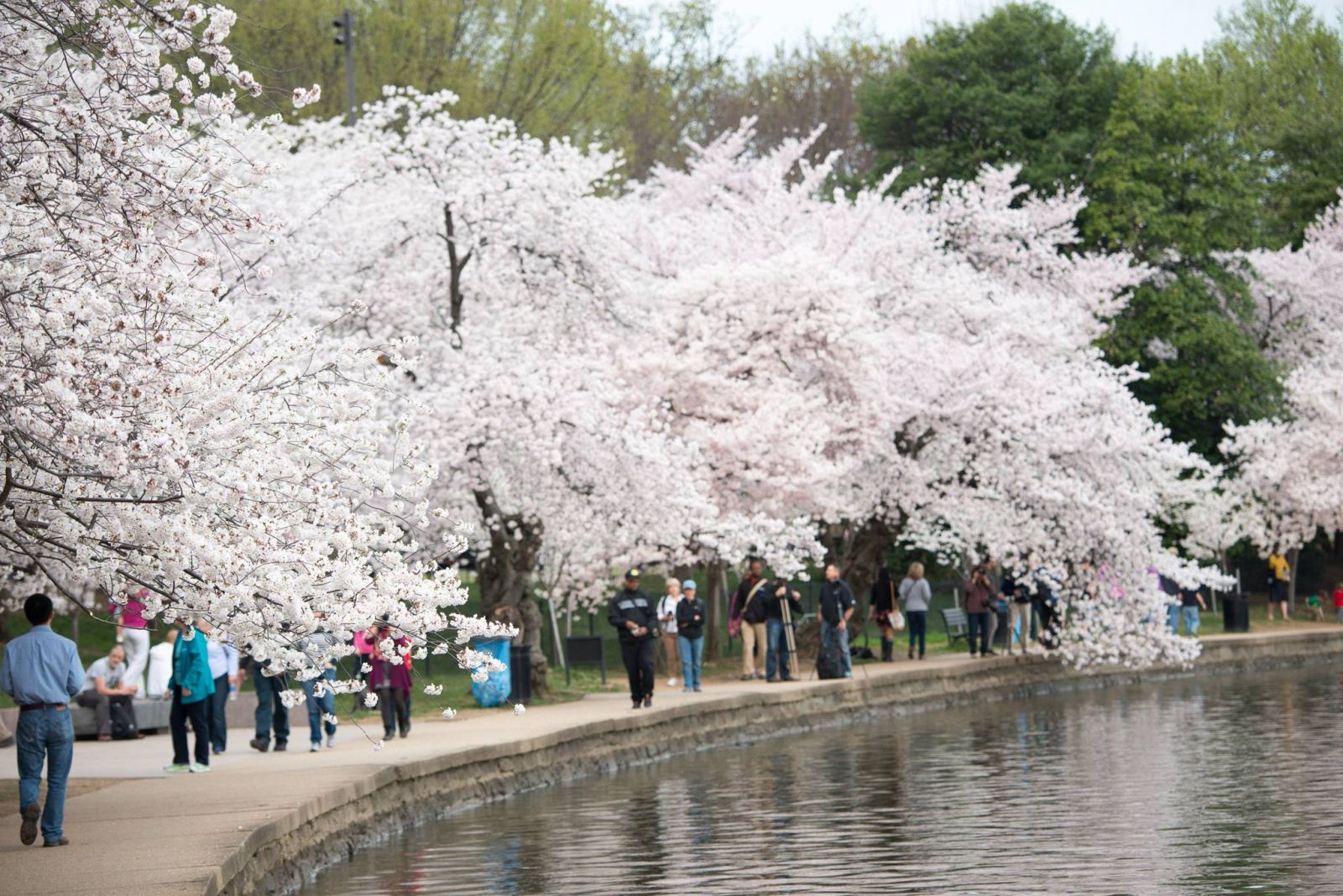 Vé máy bay 2 chiều đi Mỹ