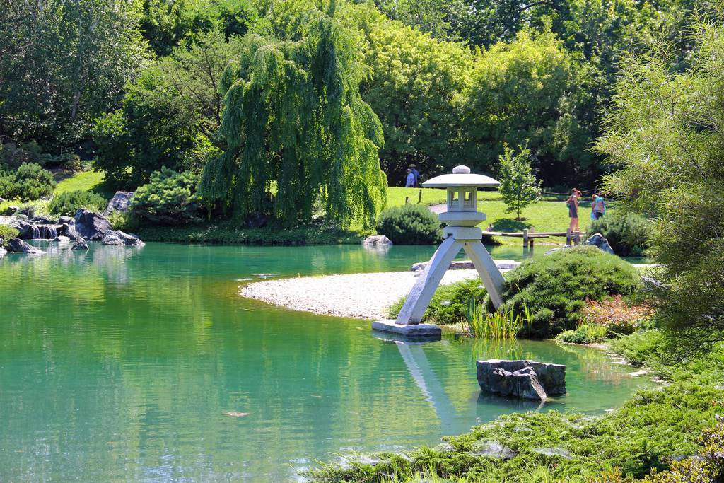 vé máy bay đi Montreal American Airline
