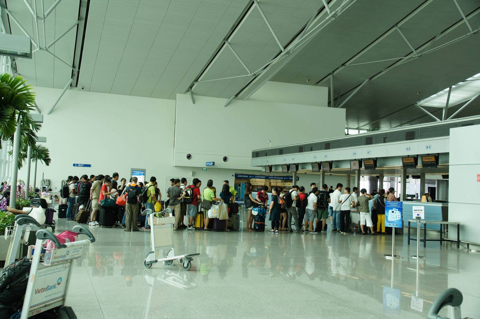 vé giá rẻ đi mỹ