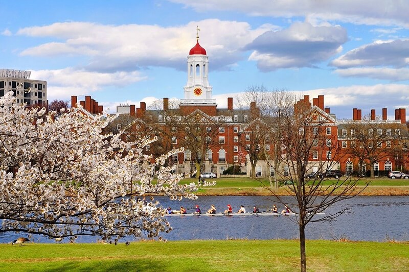 Quảng trường và bảo tàng nghệ thuật Harvard