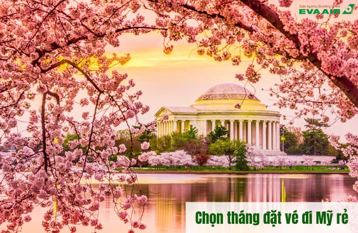 Đặt vé đi Mỹ Eva rẻ
