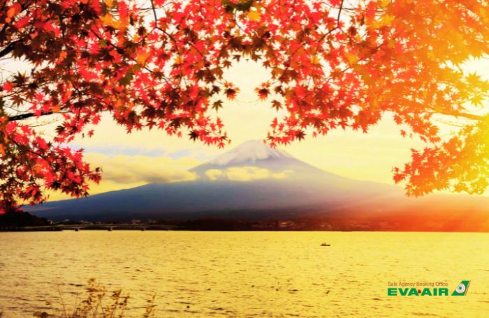 Thời điểm đặt vé đi Nhật