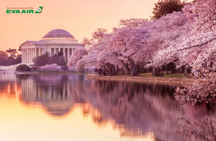 Thời điểm lý tưởng đặt vé đi New York