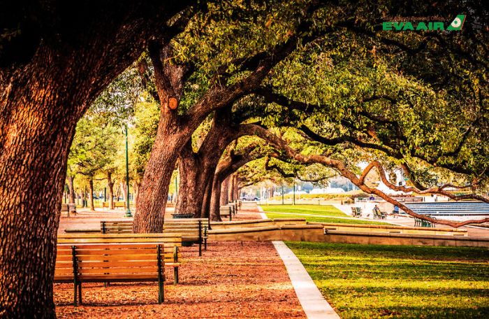 Trải nghiệm Houston