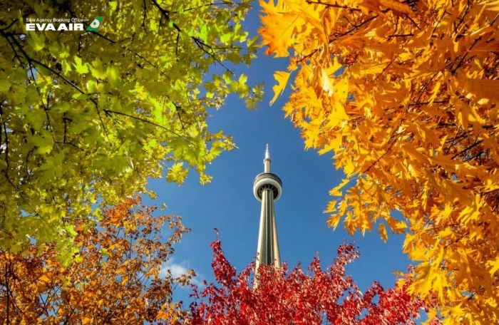 Thời gian mua vé đi Toronto