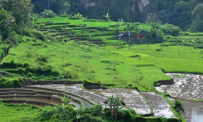 Vé máy bay EVA Air đi Padang giá rẻ